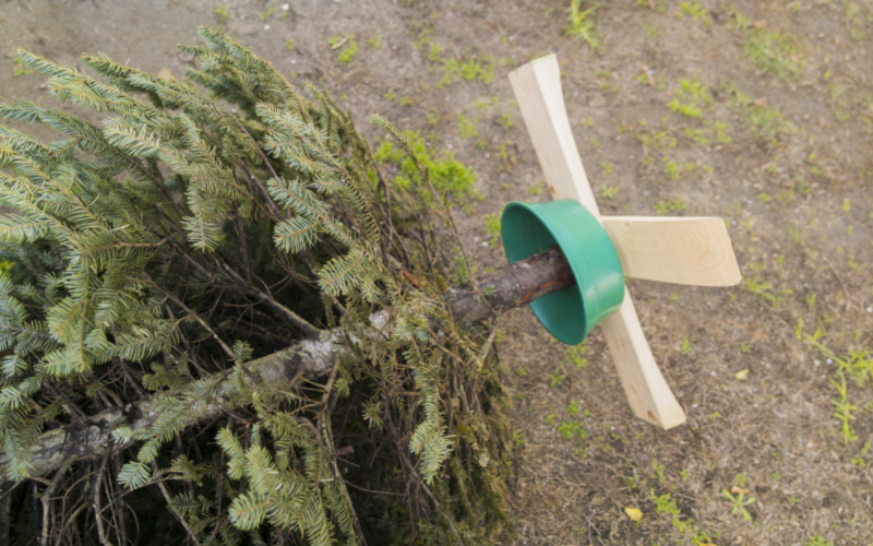 Milford Boy Scouts Offer Christmas Tree Pick Up on January 6