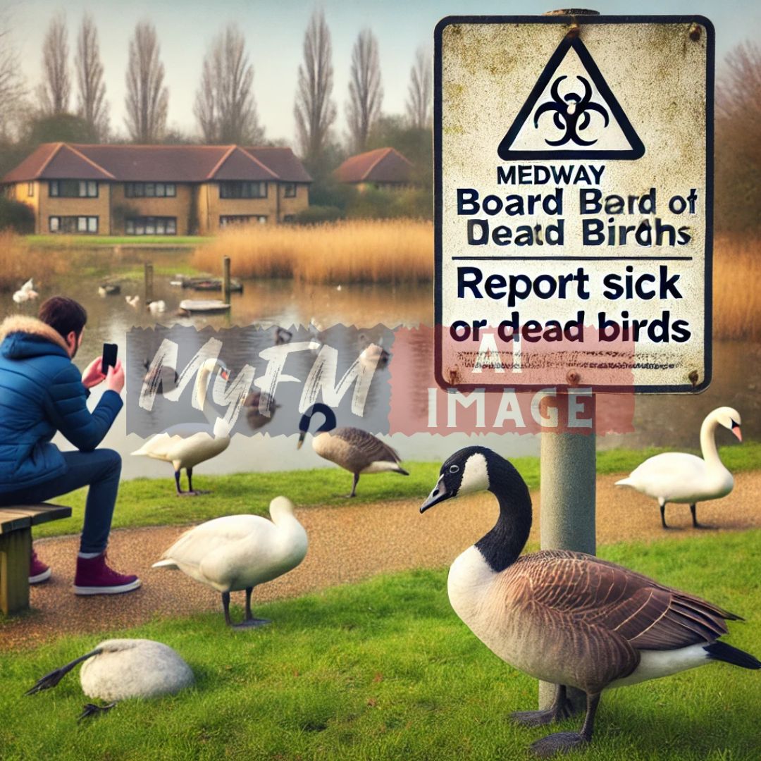 Medway Board of Health Issues Guidance Amid Suspected Bird Flu in Plymouth