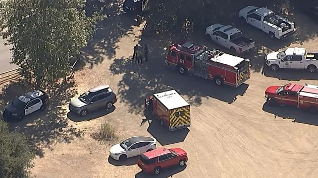 Tree limb fatally injures child at Southern California summer camp