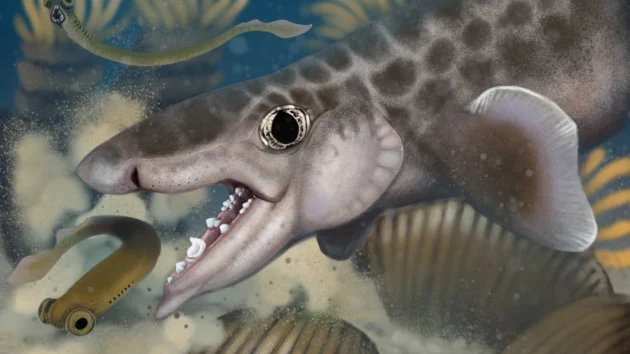 New species of ancient shark discovered at Mammoth Cave National Park