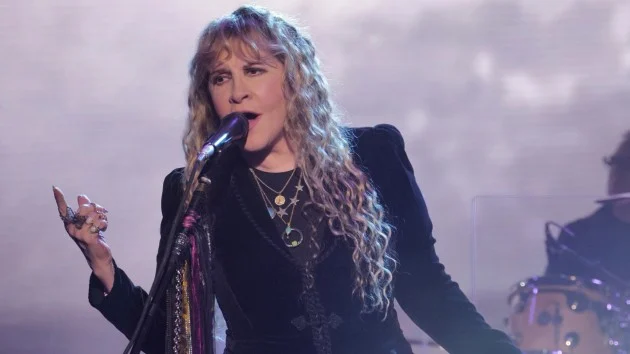Stevie Nicks forced to postpone August, September dates due to fractured shoulder