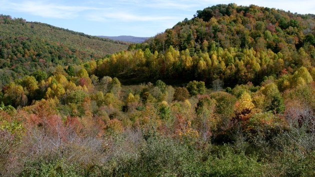 Missing West Virginia coal miner found dead after nearly week trapped underground: Governor