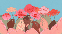 Inocencia “Cindy” Morais Cerqueira, 72, of Milford