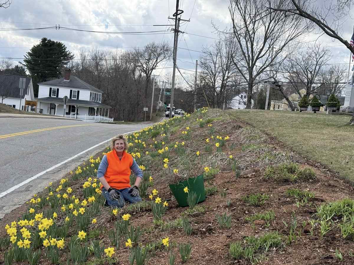 Volunteers Help Prepare Douglas Town Common for Spring