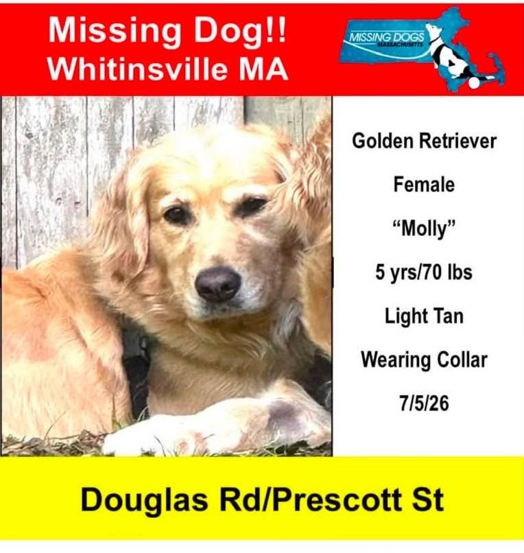 Missing Whitinsville Dog Safely Returns Home