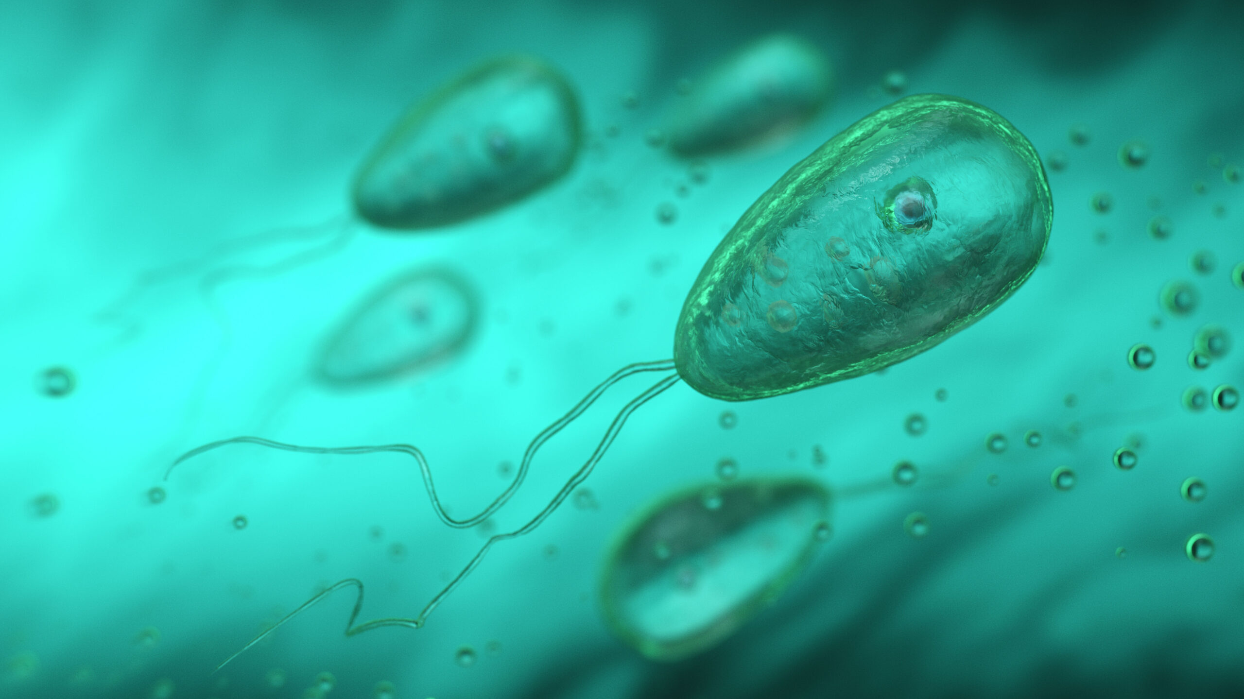 North Carolina teen dies after contracting rare brain-eating amoeba found in freshwater: Officials