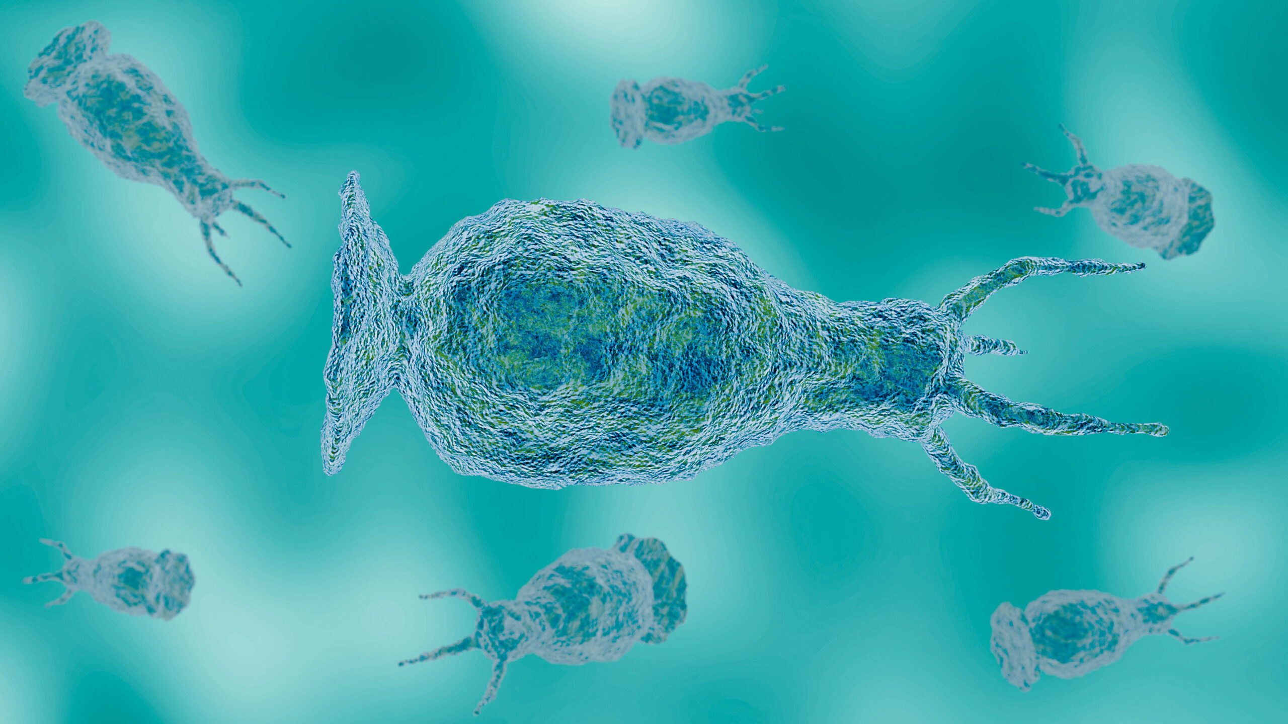 Teen who died from brain-eating amoeba likely infected from community center water feature: Officials